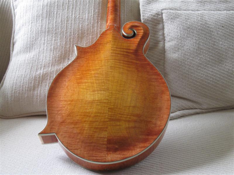 MAKING A MANDOLIN